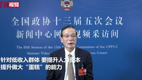 刘世锦解读 共同富裕 要增加低收入群体的人力资本 