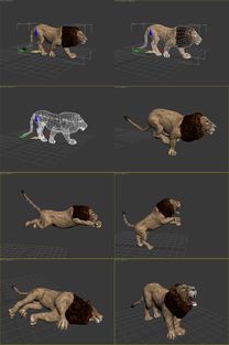 狮子带动作3d游戏模型设计图下载 图片22.60MB 游戏动漫库 单体模型 