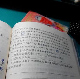 汉字可以分为什么什么什么和什么 