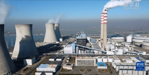 新华全媒 天津最大发电厂 电煤库存从不足一日到超去年同期