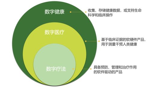 独宠数字疗法还是回归规模临床,强联智创抉择的十字路口