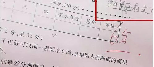 或的的笔顺怎么写