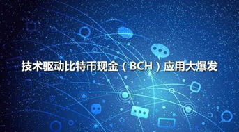 2018比特币现金bch行情 USDT行情