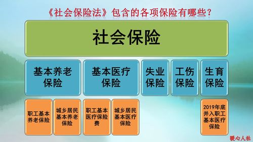 2021年,社会保险断缴有哪些影响 养老金会清零吗 答案在这里