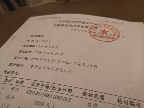 广州代办处专利评价报告-广州代办处专利评价报告公示