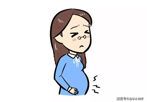 胎停育有什么征兆 胎停后如何为下一次备孕做好攻坚战