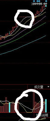 VOL指标实际成交量上面的虚线柱是什么?