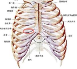 千万不要自体肋骨隆鼻,这些细节你要知道