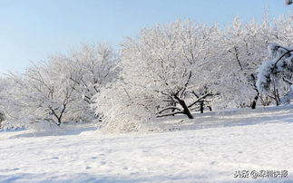 关于大雪的兴奋地诗句