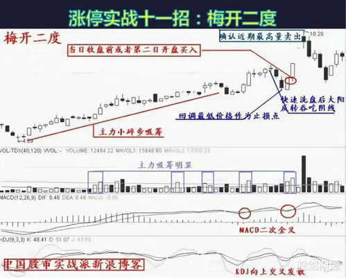 股票怎么理解，然如何操作呢？