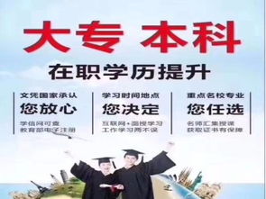 王宇哲深圳学历提升,我最近报了一个学历提升，老师让我在成人高等教育和远程网络教育里面
