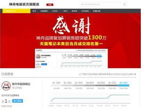 成功转型互联网销售 神舟勇夺天猫笔记本类当月成交第一名 