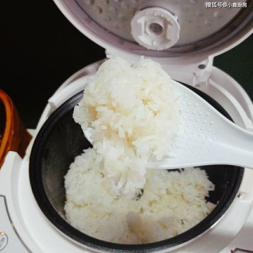 电饭锅就能搞定的复工便当,会煮米饭就一定会