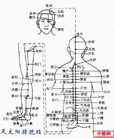 肺癌针灸的穴位