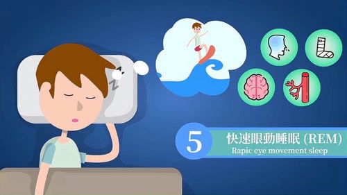 提升睡眠质量的方法  第2张