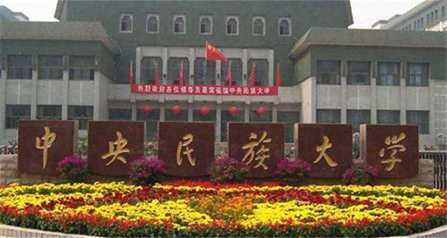 中央民族大学社会学系(清华大学社会学系好不好)