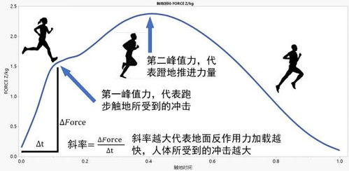 轻快省力跑步的秘诀究竟是什么 最新研究颠覆了传统观点