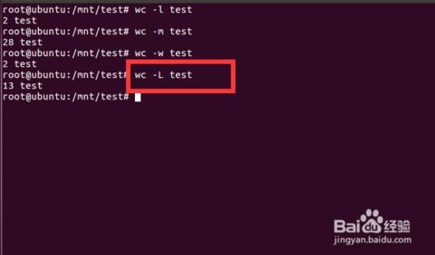 linux中wc命令,基本语法