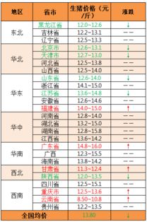 2019年9月4日 猪价调整,局部偏弱