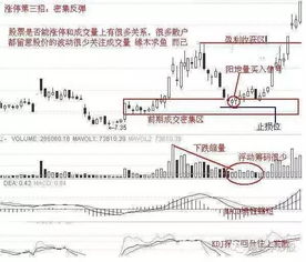 为什么涨停板股票  没有卖单？  专业的回答