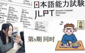 日语能力考试语法学习 形式名词 