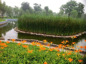 太阳宫公园,北京 太阳宫公园