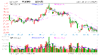 中国神华在国内发行价格大概是多少