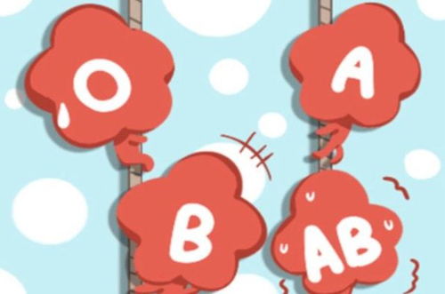 A型 B型 AB型 O型,哪种血型的人身体素质更好 你是哪种
