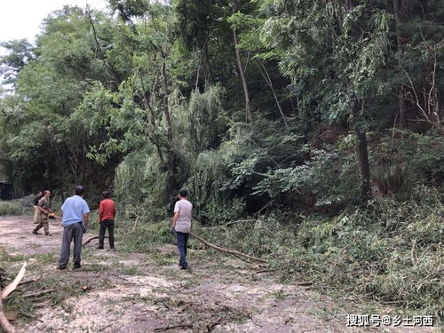 老话说 好男不鞭春,好女不观灯 ,你知道是什么意思吗