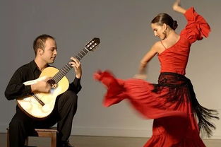 弗拉门戈音乐,弗拉门戈:热情的西班牙旋律。的海报
