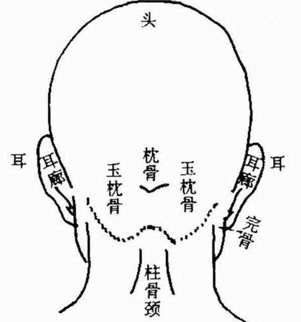 人的 反骨 长在哪里 