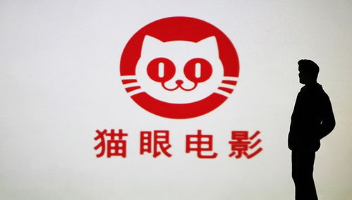 猫眼娱乐属于哪个公司,猫眼娱乐属于哪家公司?的海报