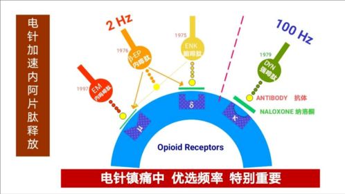 代币疗法的基本原理,令牌疗法的基本原理。 代币疗法的基本原理,令牌疗法的基本原理。 币圈生态