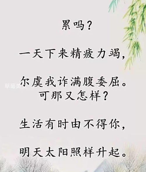 苦中作乐的名言警句（不需要太多物质哪句名言？）