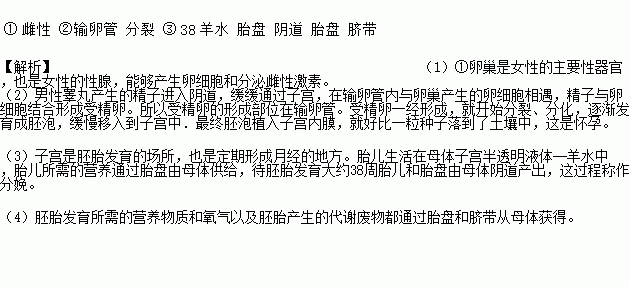 你知道新生命是如何诞生的吗 请观察如图并分析回答