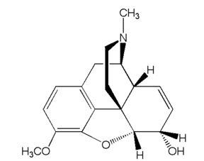 西药丨每天轻松学习一个西药知识点之 氨茶碱