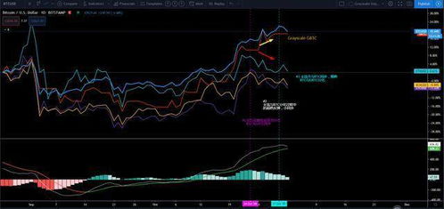  xrp币历史走势预测,过去的动向分析 区块链