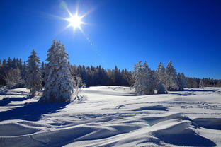 冬季国内旅游推荐,冬季国内旅游推荐：长白山的林海雪原之旅