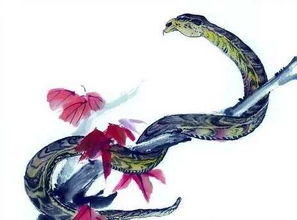 蛇年农历十二月腊八节出生的属蛇人命运好吗 运势如何