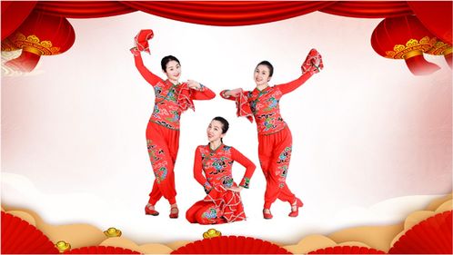 欢乐中国年舞蹈教学,欢乐中国年舞蹈教学指南