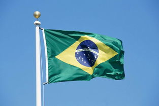 fotos do bandeira do brasil