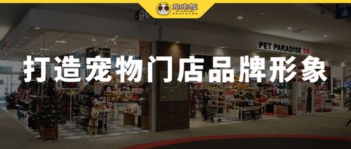 如何增加门店灯光(灯具门店牌子设计)