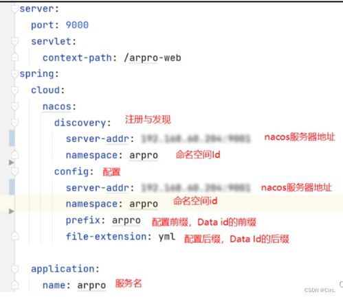 案例26 nacos命名空间名字和id不一致导致不能使用