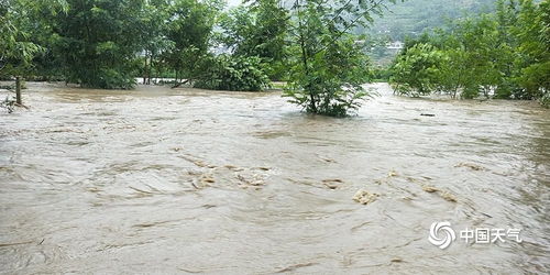 四川宜宾遭遇暴雨侵袭 河水上涨农田被淹