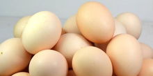 每天吃几个鸡蛋合适 教你三招挑到好鸡蛋