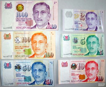 一新加坡元等于多少人民币