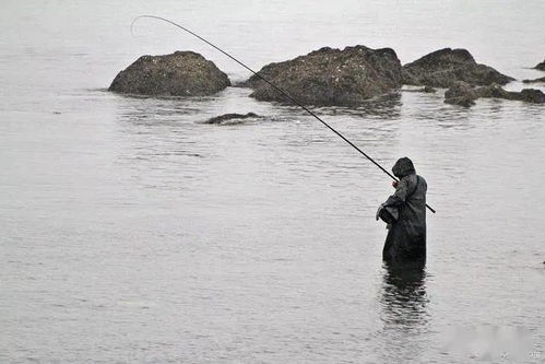 冬季钓鱼掌握这些方法,鱼获肥壮拎不动