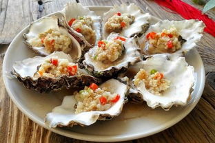 牡蛎的做法,牡蛎的三种美味做法，让你在家也能享受海洋的味道！