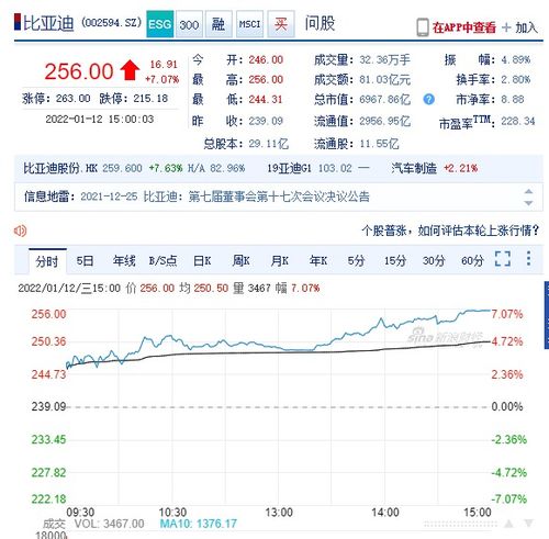 2022年两市还有未上涨过的股票么