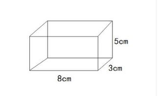 长方体体积公式(长方体体积的计算公式是什么)